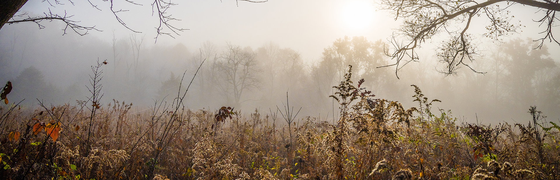 02-Early-Morning-Game-Farm-NS